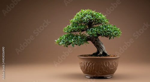 Bonsai tree in pot green foliage brown background