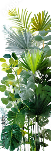Obraz na płótnie green tropical plants white background w salonie