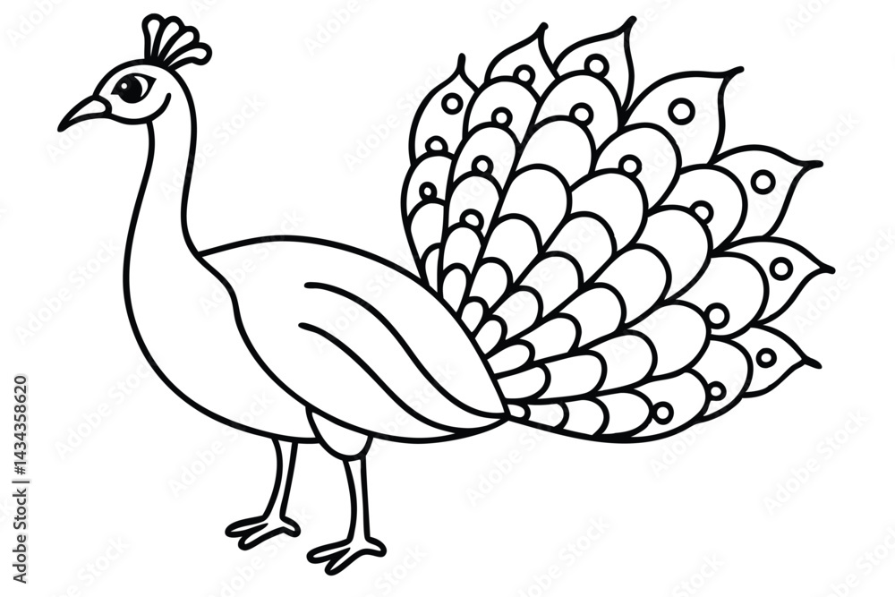 Fototapeta premium Peacock illustration coloring page for kids.