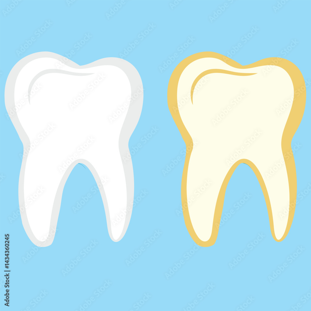Teeth two colors Teeth two colors