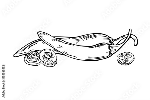 Vector pepper pods line art illustration painted by black inks. Whole and slices of jalapeno, cayenne, chili realistic sketch. Vegetable for spicy food packaging, cookbook graphics, hot sauce labels