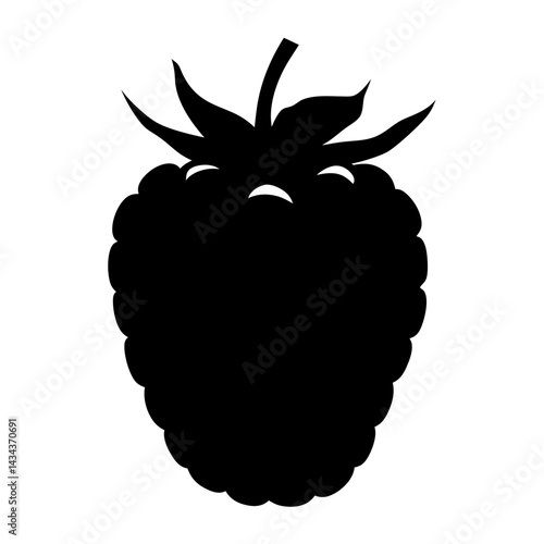 Silhouette of a raspberry with detailed texture and stem,showcasing the fruit in minimalist style on a transparent background