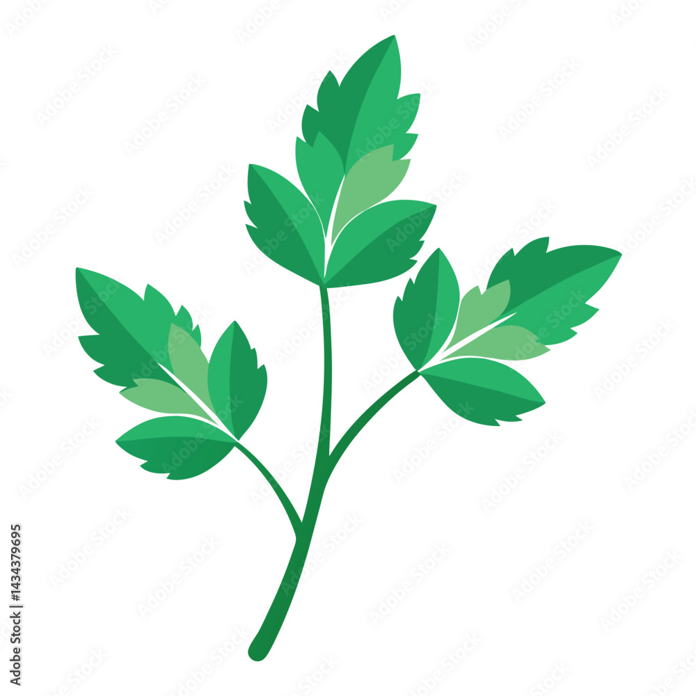 Fototapeta premium herb leaves clipart