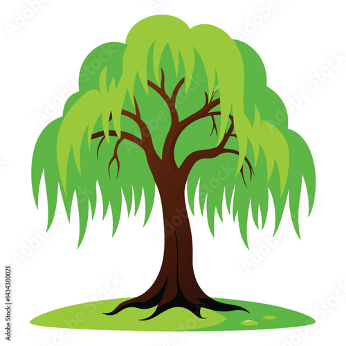 realistic willow branch layout