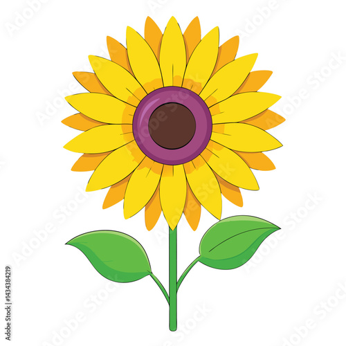 sunflower yellow flower