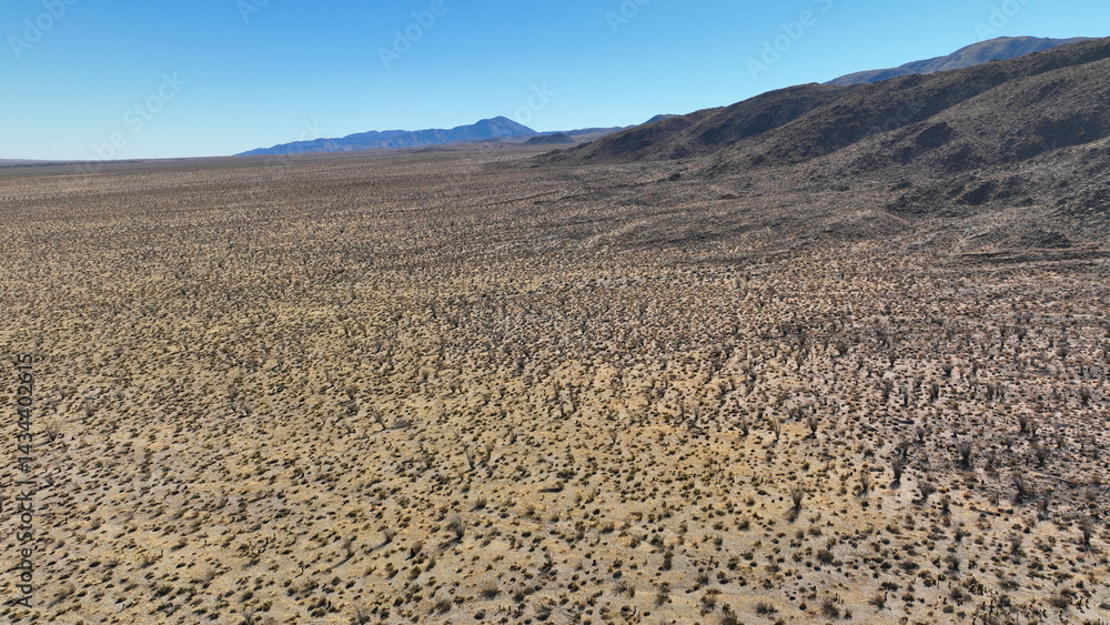 Aerial drone photo of wildflower desert fields and amazing landscape in beautiful Anza - Borego State Park, California, United States of America