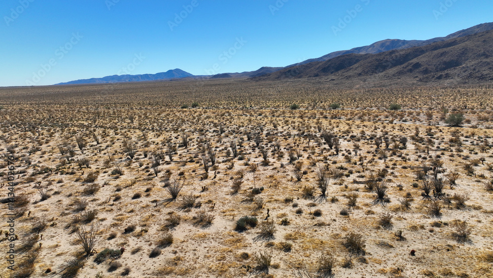 Aerial drone photo of wildflower desert fields and amazing landscape in beautiful Anza - Borego State Park, California, United States of America