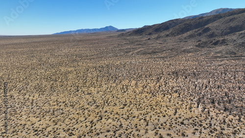 Obraz na płótnie Aerial drone photo of wildflower desert fields and amazing landscape in beautiful Anza - Borego State Park, California, United States of America w salonie