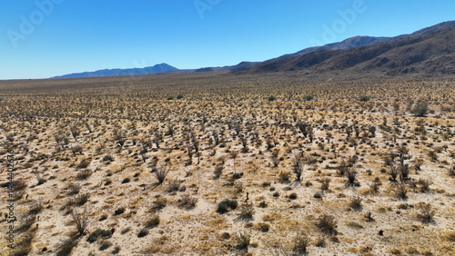 Obraz na płótnie Aerial drone photo of wildflower desert fields and amazing landscape in beautiful Anza - Borego State Park, California, United States of America w salonie