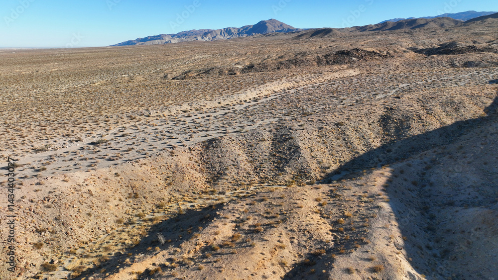 Aerial drone photo of wildflower desert fields and amazing landscape in beautiful Anza - Borego State Park, California, United States of America