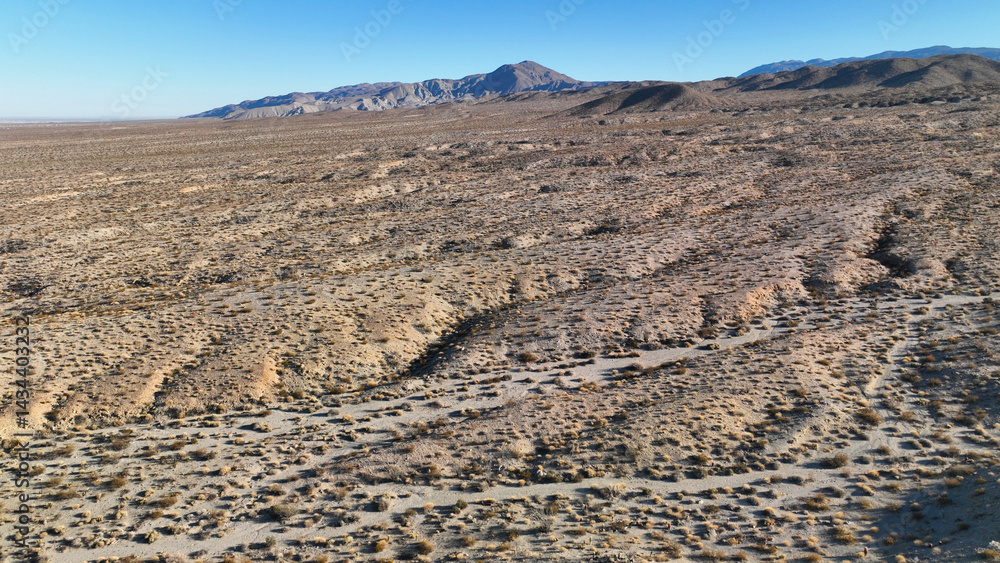 Aerial drone photo of wildflower desert fields and amazing landscape in beautiful Anza - Borego State Park, California, United States of America