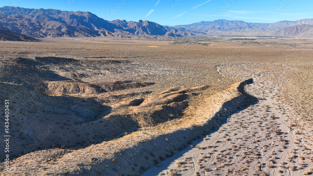 Aerial drone photo of wildflower desert fields and amazing landscape in beautiful Anza - Borego State Park, California, United States of America