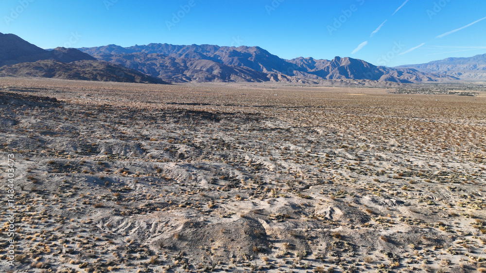 Aerial drone photo of wildflower desert fields and amazing landscape in beautiful Anza - Borego State Park, California, United States of America