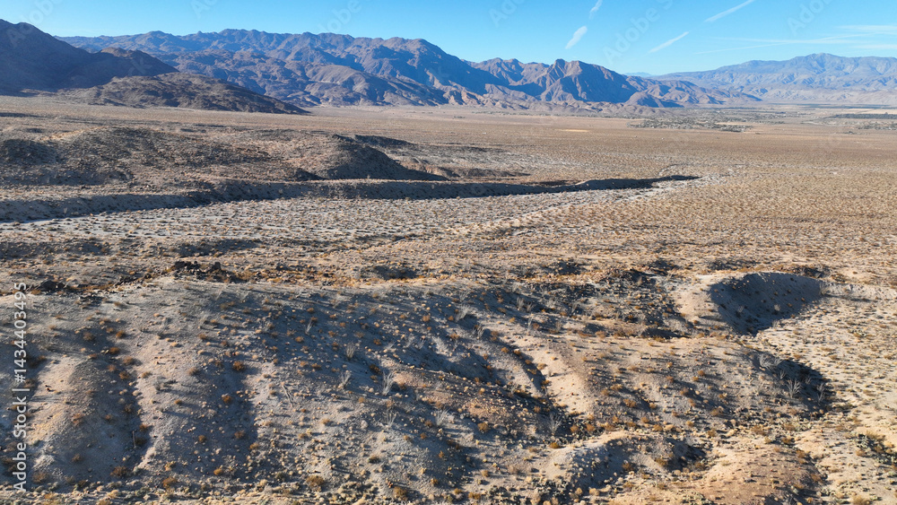 Aerial drone photo of wildflower desert fields and amazing landscape in beautiful Anza - Borego State Park, California, United States of America