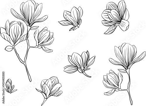 Sakura blossom flowers collection in outline japanese style 