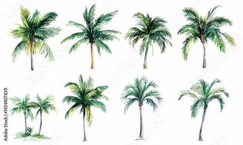 Watercolor Coconut Tree Vector Illustration for Tropical Design Projects