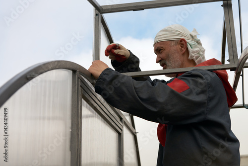 Obraz na płótnie Construction of a greenhouse with polycarbonate cover. An adult man attaches the end to the metal frame. w salonie