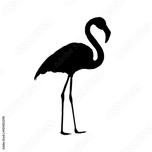 flamingo silhouette – vector illustration