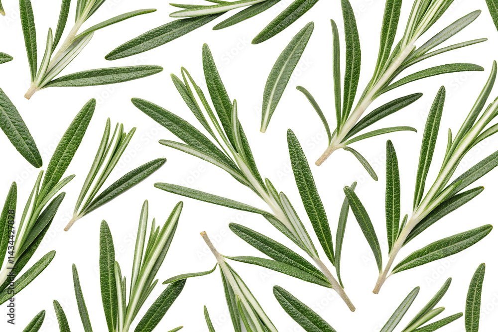 Fototapeta premium seamless pattern with rosemary leaves