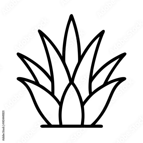 Vector graphic of aloe vera plant illustration for natural medicine and skincare products design needs