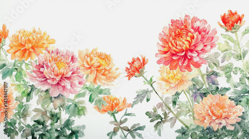 watercolor botanical Chrysanthemum flowers texture template background.Elegant wedding invitation card background . Minimal hand painted Design for wedding or Valentine's Day