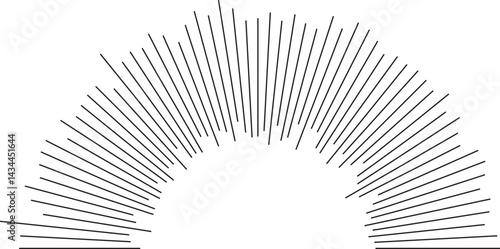 Half-circle shape with irregular long rays radiating both inside and outside.