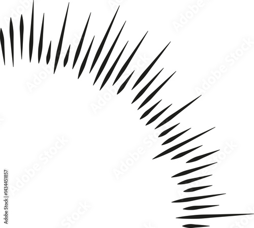 Irregular rays forming a quarter of the circumference.