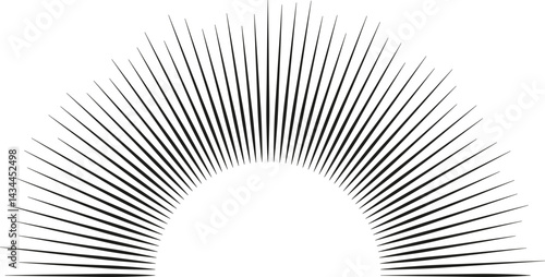 Semi-circular shape with irregular long rays of different lengths.