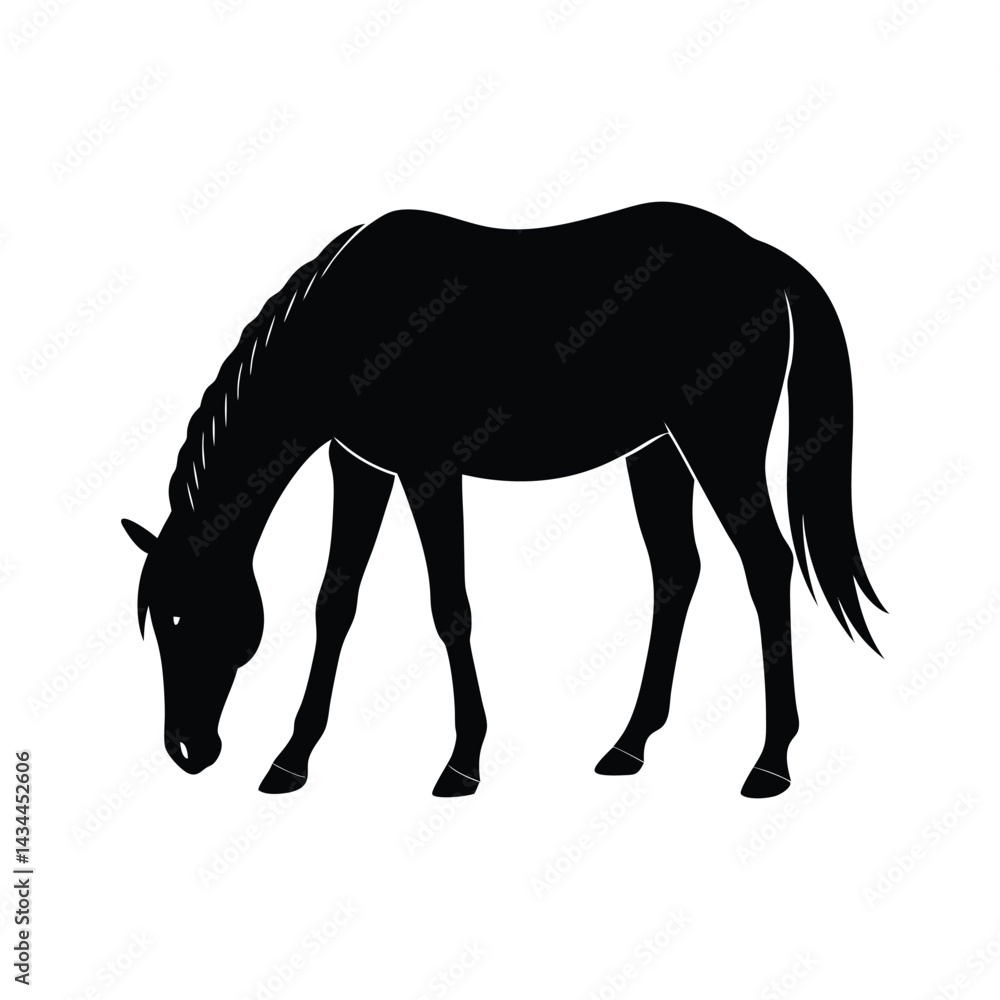 Obraz premium horse grazing head down silhouette vector line art 