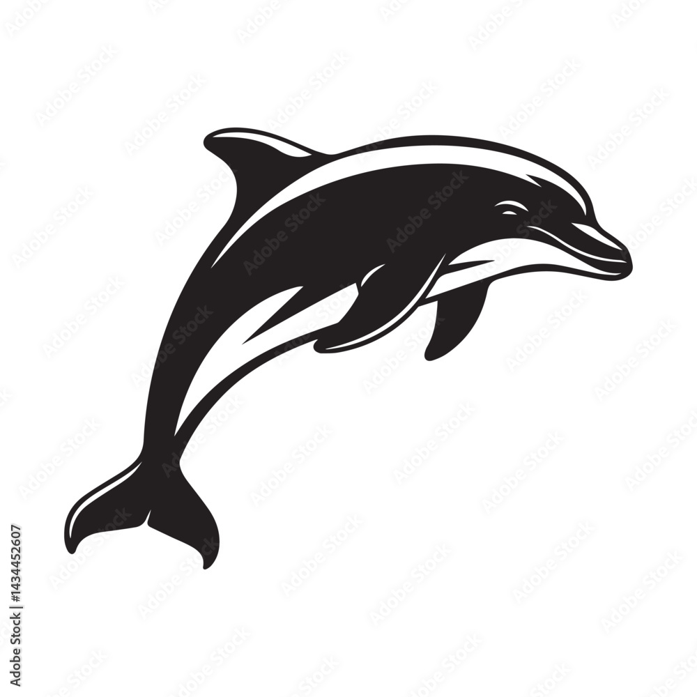 dolphin isolated on white background dolphin isolated on white background