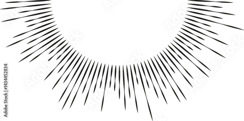 Semicircular shape with irregular rays, large center space, and varying line thickness.