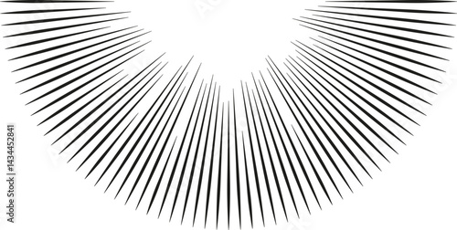 Semicircular shape with irregular rays inside, varying in thickness.