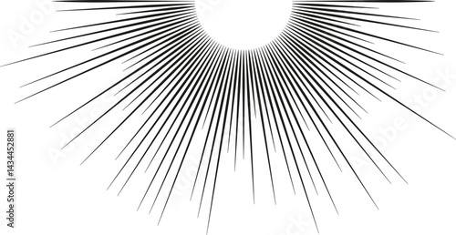 Semicircular shape with large irregular rays forming a sun-like pattern.