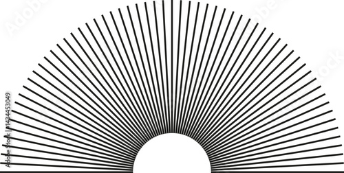 Semicircular shape with short rays and a small center space.