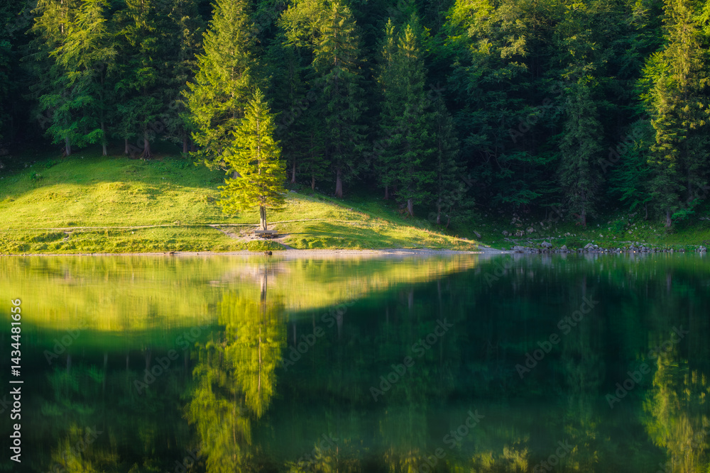 Forest and lake. Reflections on the water surface. Woodland. Mountain landscapes in summer. Place for forest hiking, travel and vacation. Wallpaper, postcard, photo.