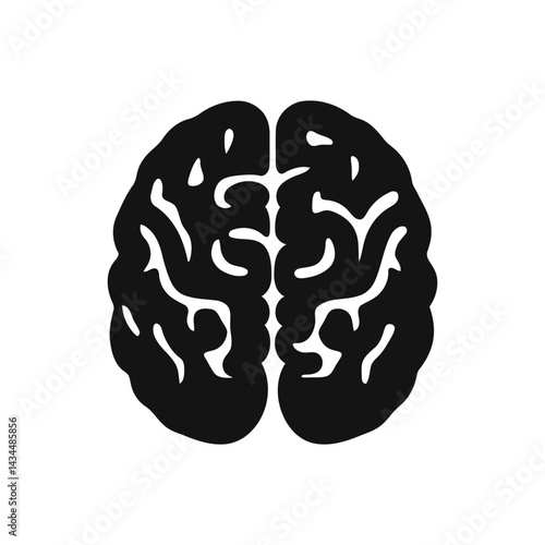 Human Brain Anatomy Detailed Structure Medical And Mental Health