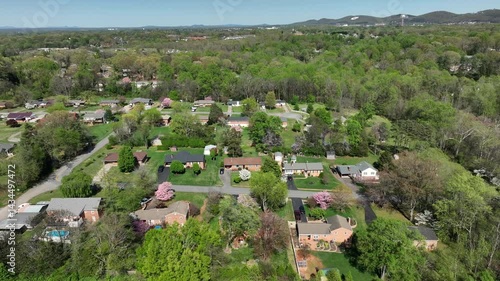 Wallpaper Mural Peaceful suburb neighborhood with houses and blooming trees during sunny spring day. Aerial lateral wide shot. Scenic district of american town in Virginia. Swimming pool in garden. Torontodigital.ca
