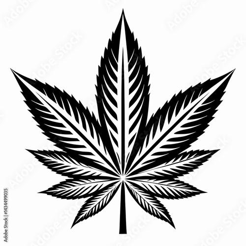 cannabis leaf vector illustration