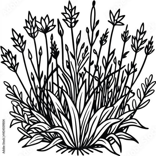 Detailed Vector Graphic of Wild Thickets and Brushwood Featuring Small Plants and Tangled Vegetation for Environmental and Forest Floor Illustrations, Wild Thickets Vector, Brushwood Vegetation  

