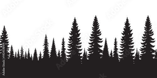 Silhouette of forest. Beautiful trees (spruce) are separated from each other, Vector illustration.