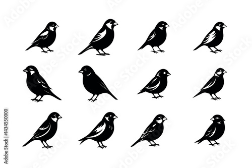 Set of sparrow bundles