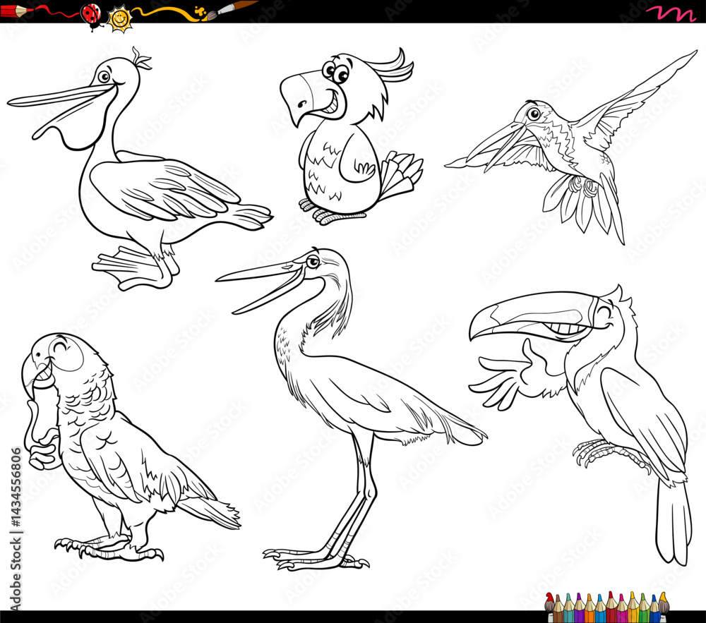 funny cartoon birds animal characters set coloring page