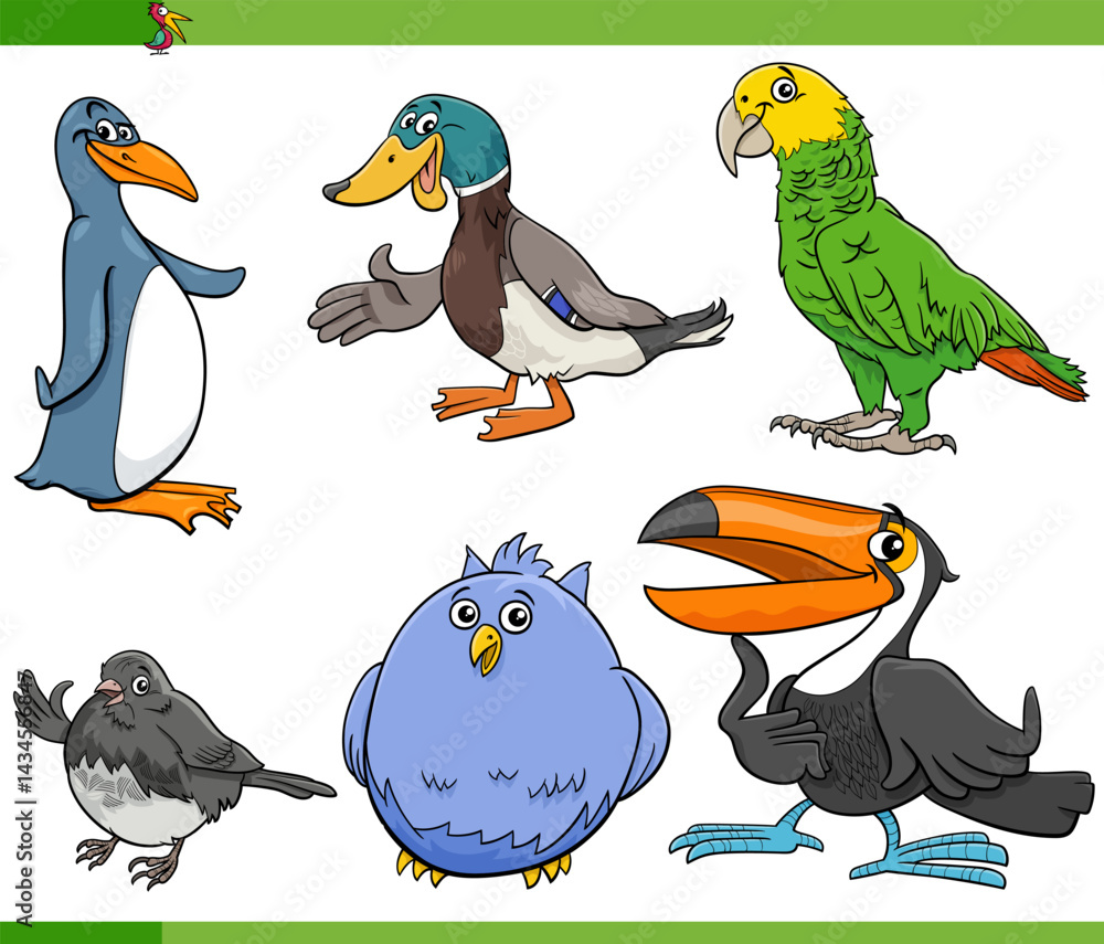 funny cartoon birds species animal characters collection