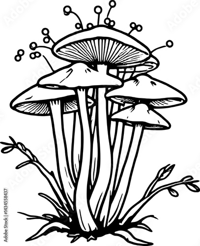 Cluster Of Detailed Ink Mushrooms With Delicate Stems And Spores