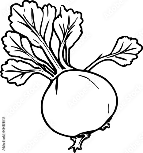 Line Drawing Of A Single Beetroot With Leaves