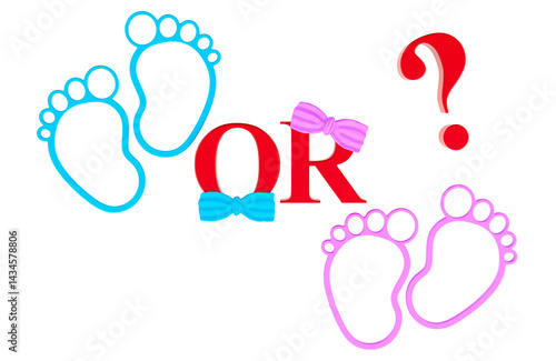 Boy Or Girl Gender Reveal Party. Baby footprints pink and blue, 3D rendering isolated on transparent background