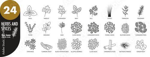 Herbs and spices - editable stroke thin line icons set. Basil, mint, coriander, parsley, chives, rosemary, thyme, tarragon, sage, oregano, cumin, fennel, cardamom, anise, turmeric, vector illustration