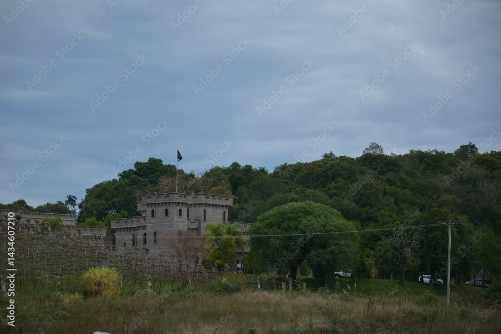 vale dos vinhedos