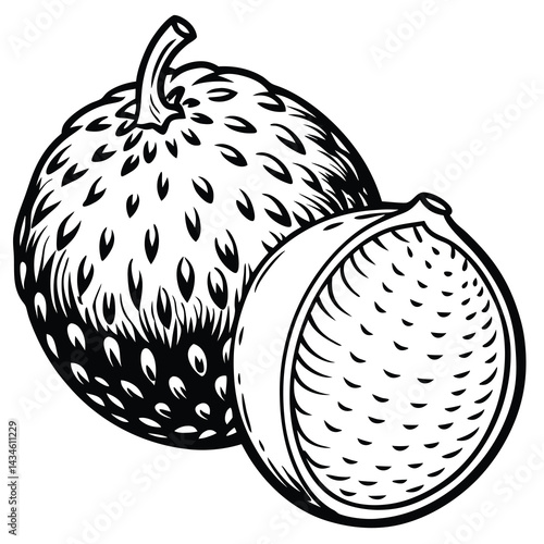 Two tropical fruits, detailed illustration