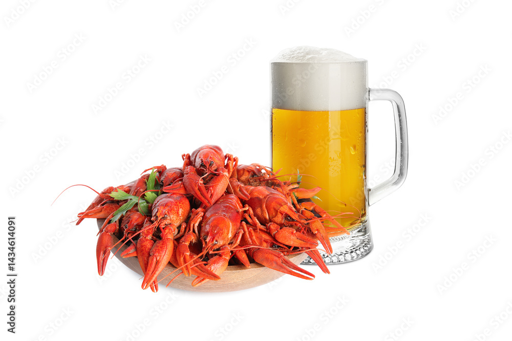 Fresh beer in glass mug with cooked crayfishes on white background. Tasty snack for drink Fresh beer in glass mug with cooked crayfishes on white background. Tasty snack for drink